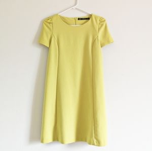 ZARA cute simple dress